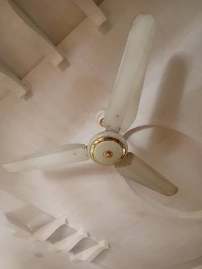 mubarak fan