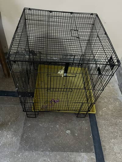 Lovebird parrot cage two