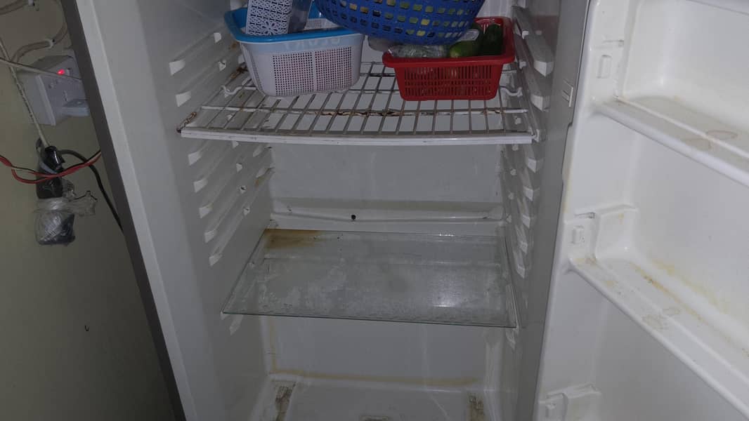 freezer 4