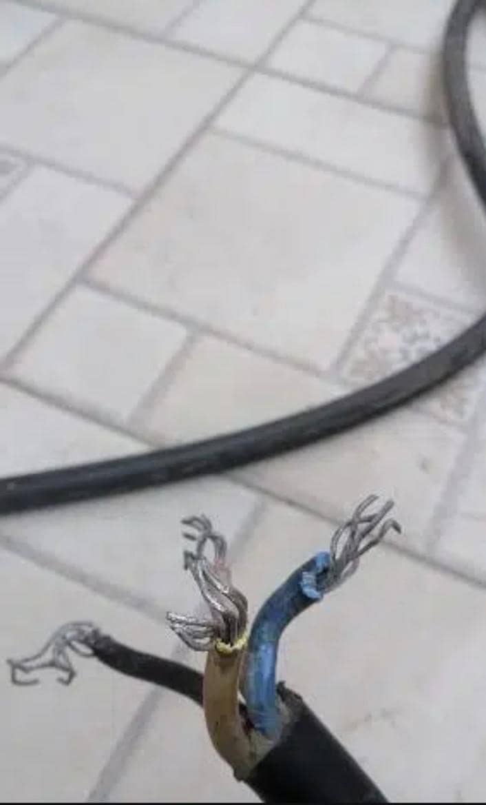 Four core silver wire 1