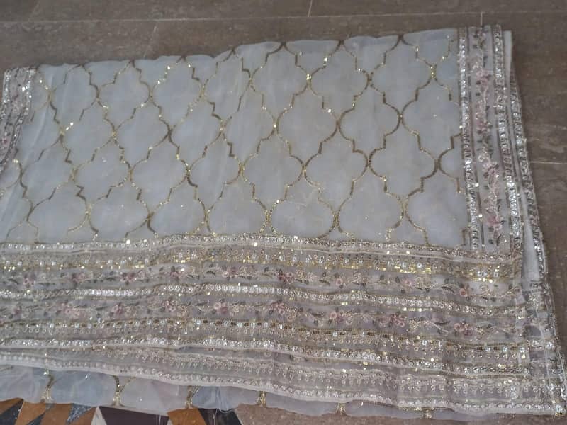 elegant heavy embroided party wear maxi shampan beige colour light new 2