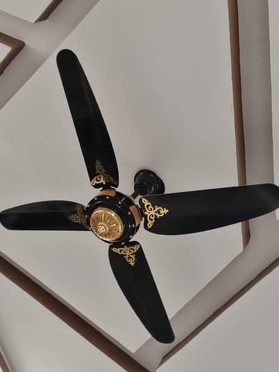 parwaz company new fan