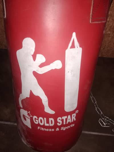 boxing bag gold star fitness and sport