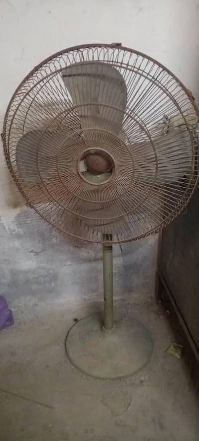pedistal fan