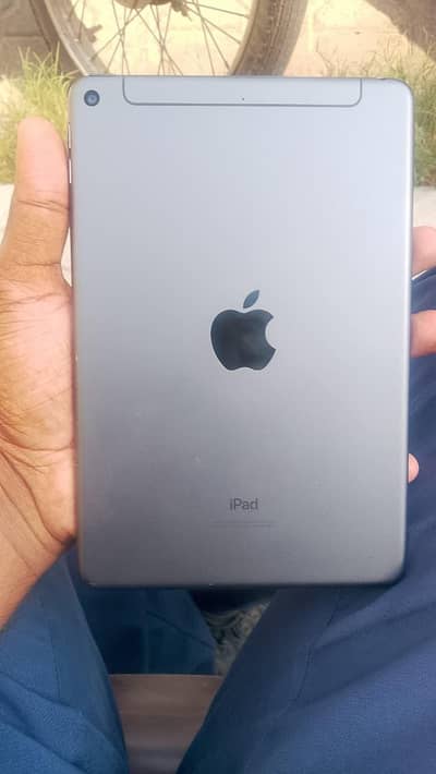 Ipad Mini 5 (Grey + 64gb)