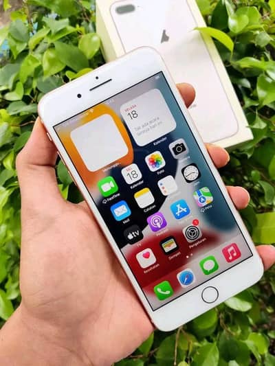 Iphone 8plus pta approved 256gb My Whatsapp number 0348-55-58-176