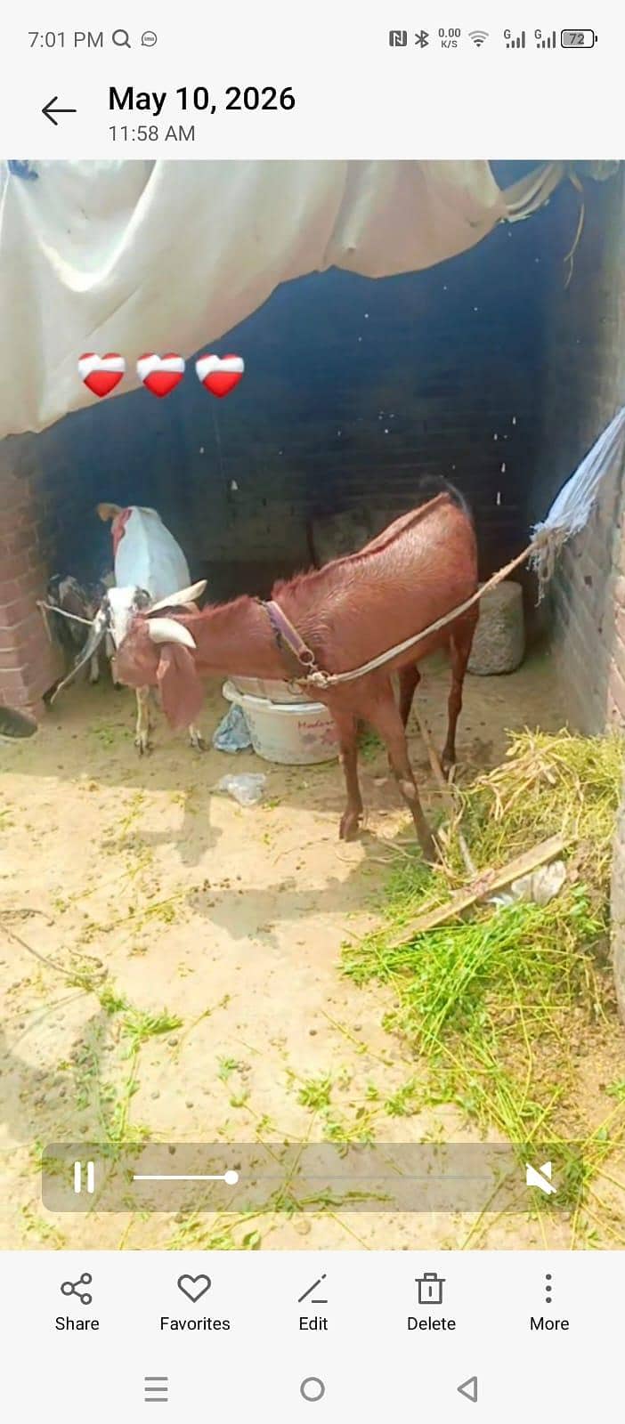 2bakra vip 2