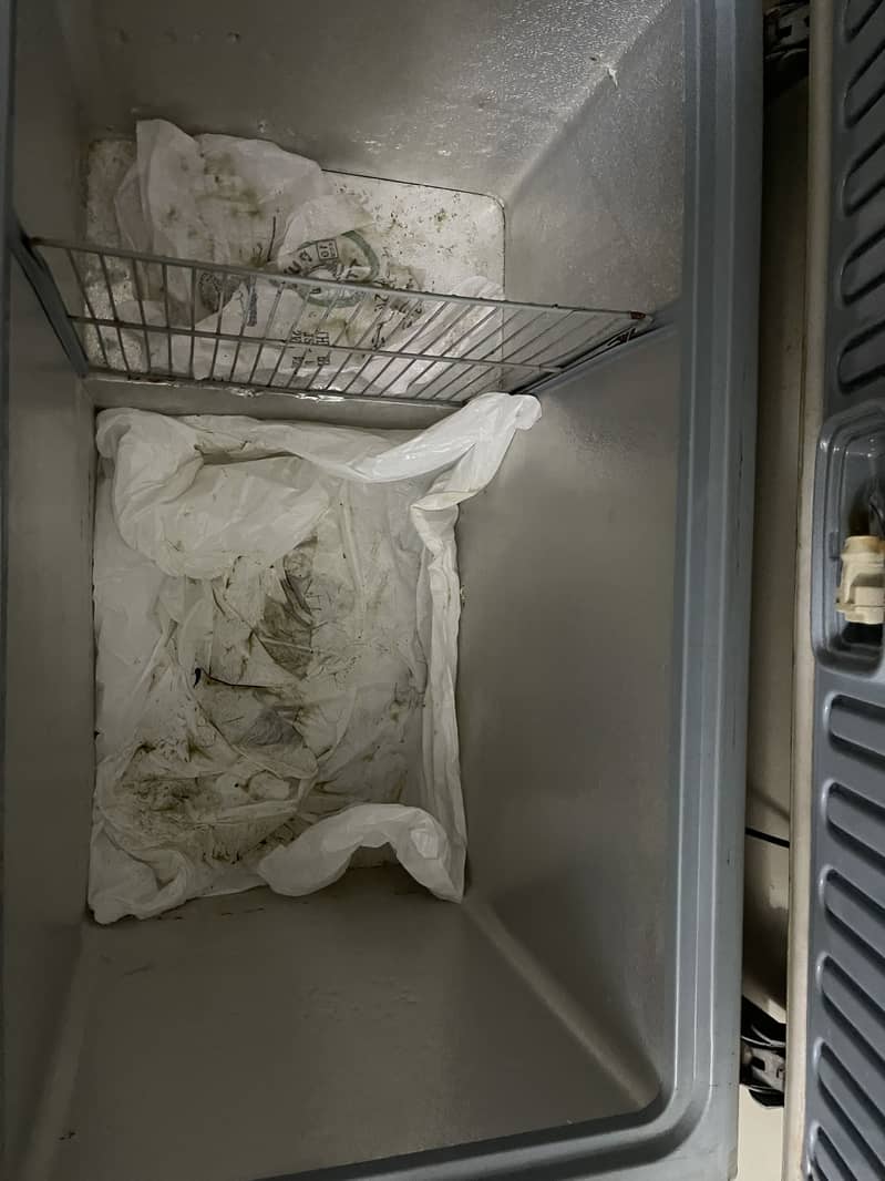 Waves Freezer 1