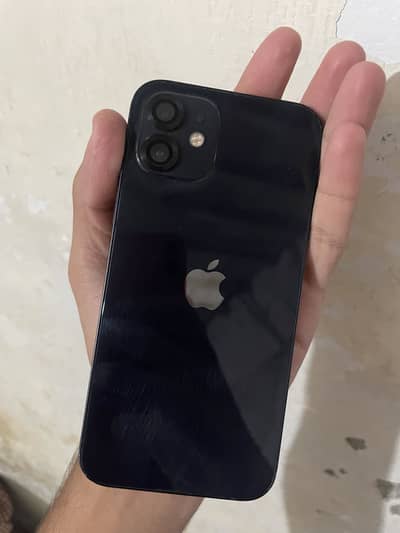 Apple iPhone 12