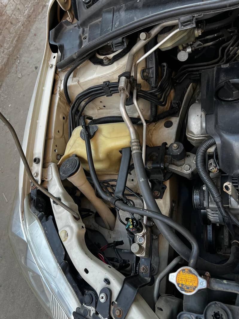 Corolla 13