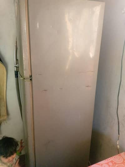 refrigerator 10.10