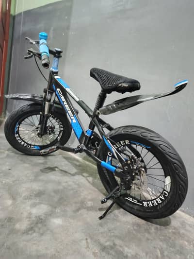 carrer imported cycle