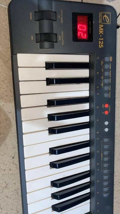 Midi for sale