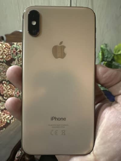 iPhone  XS