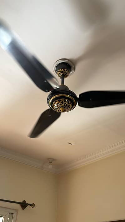 Ceiling fan fancy style