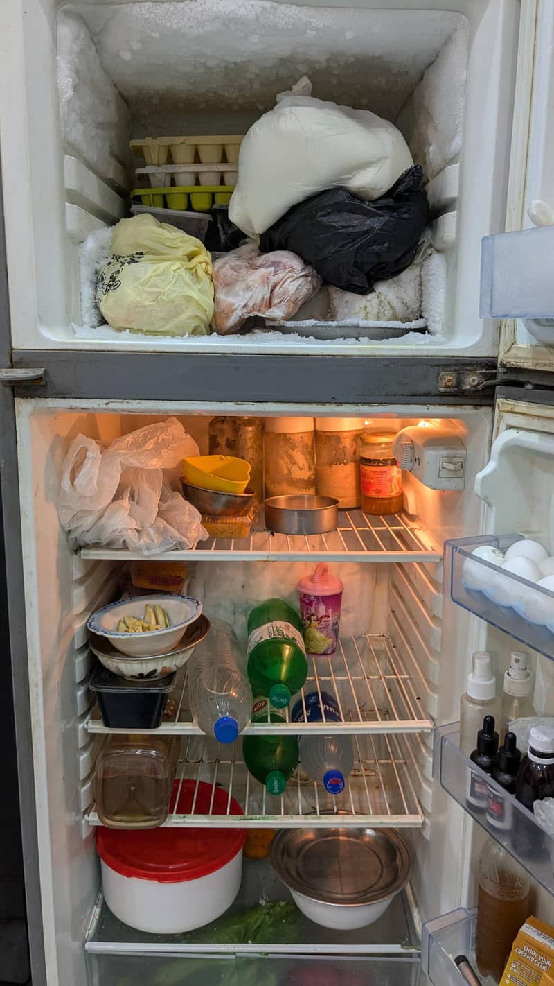 refrigerator 1