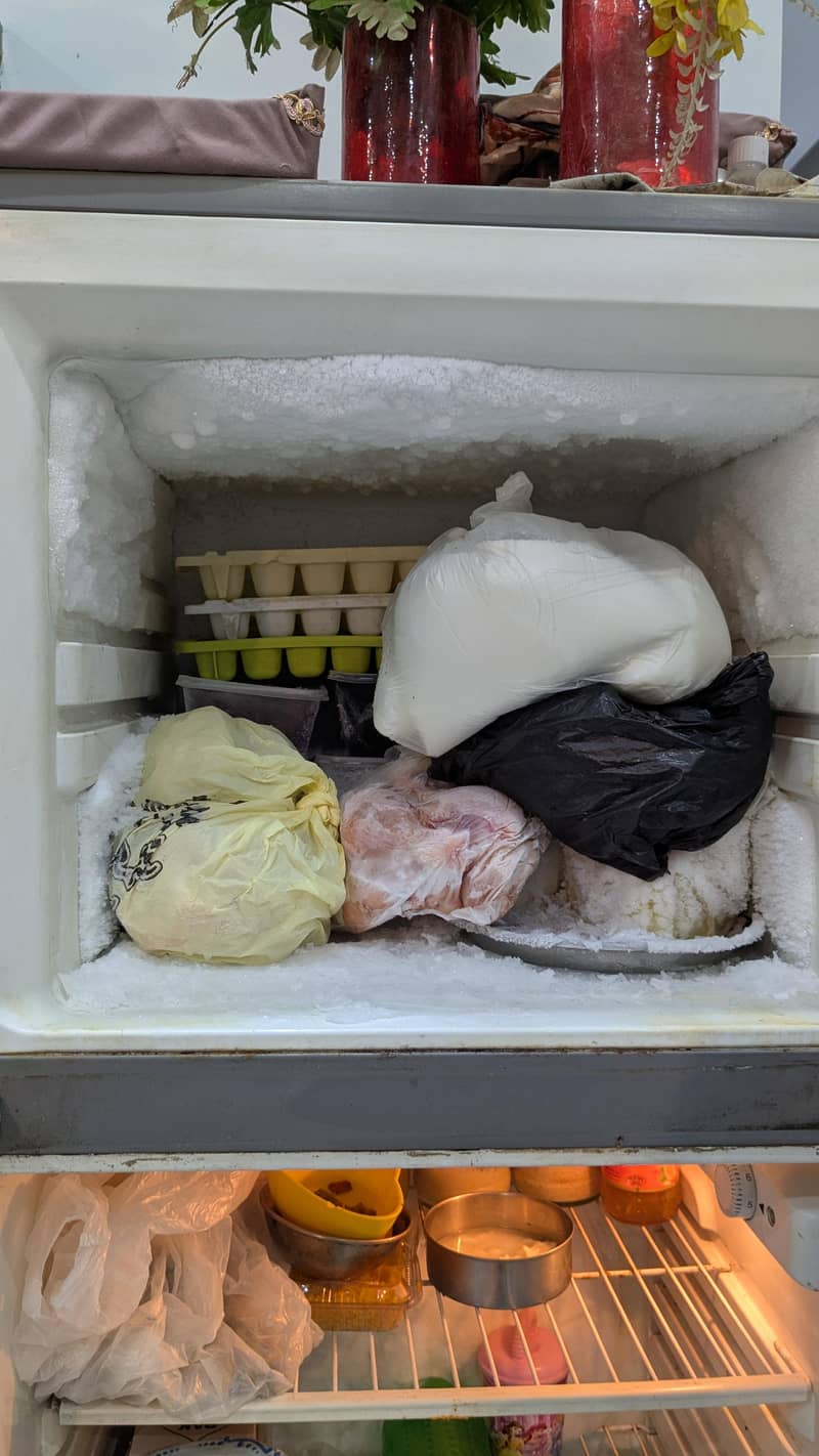 refrigerator 2