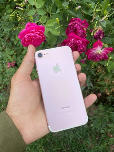 iphone 7 PTA approved 128 gb all okay no any issue