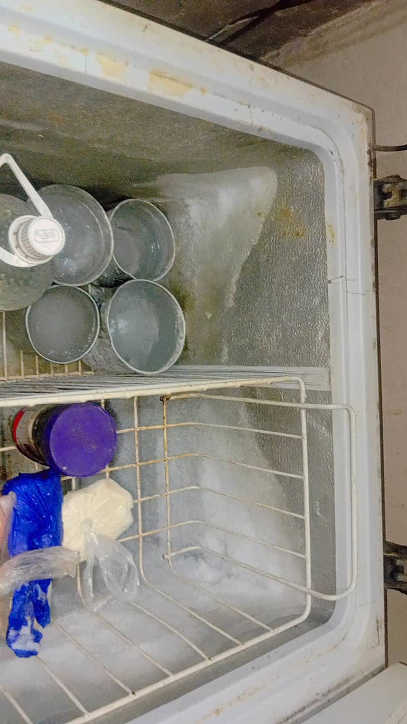 deep freezer 1