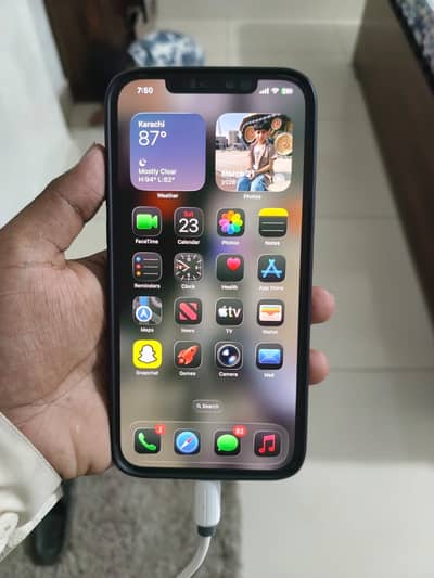 Apple iPhone 12 Pro Max