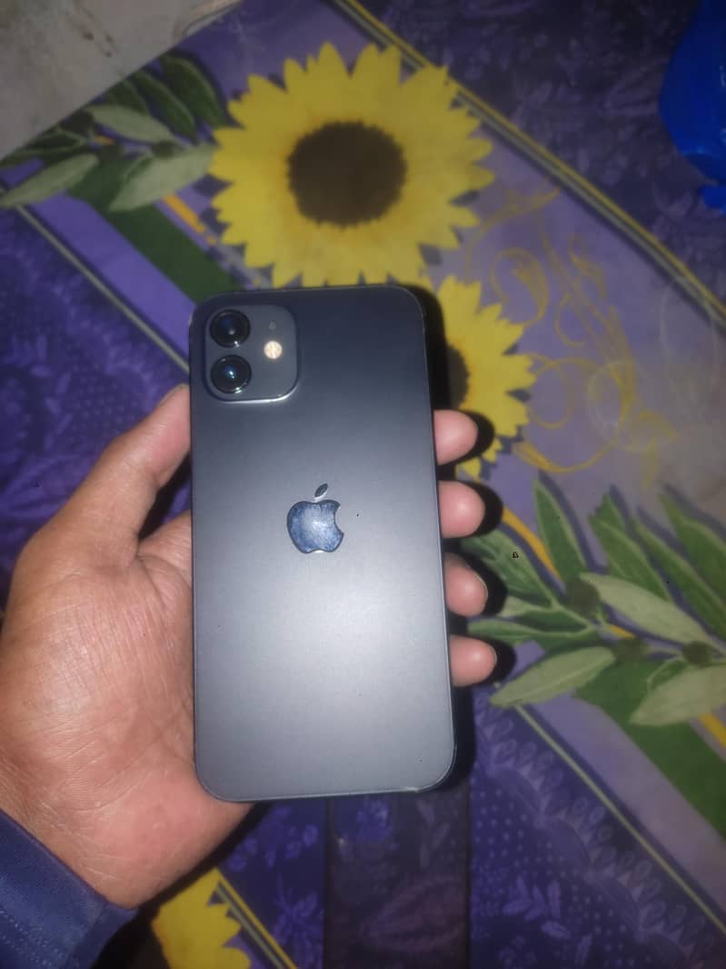 iPhone 12 0