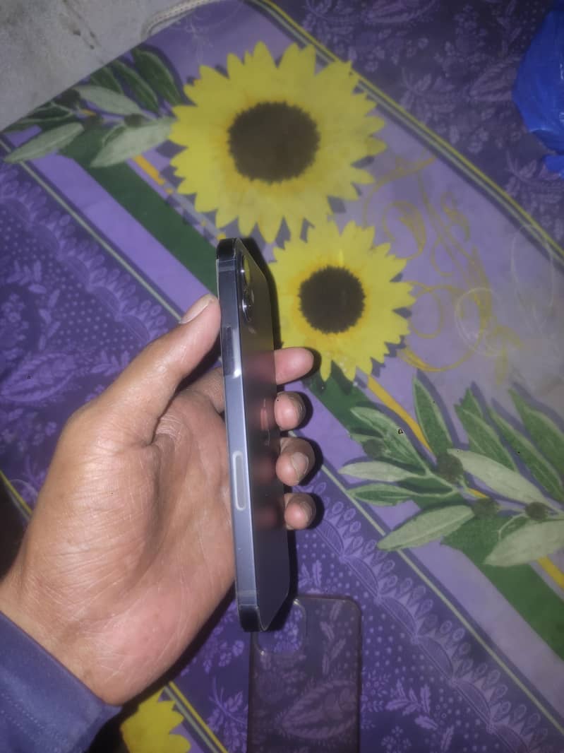 iPhone 12 1