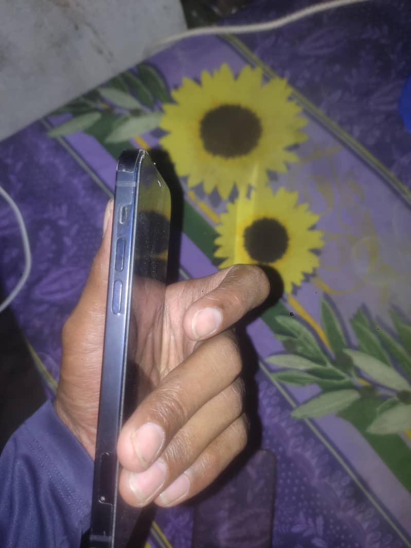 iPhone 12 2