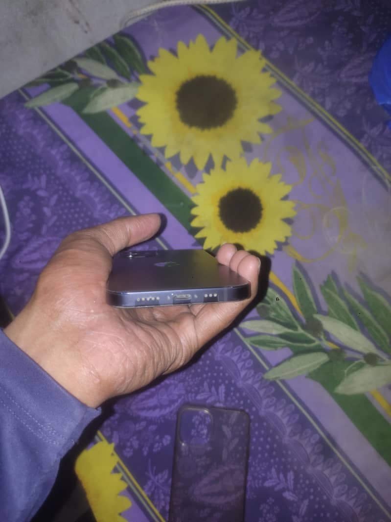 iPhone 12 3