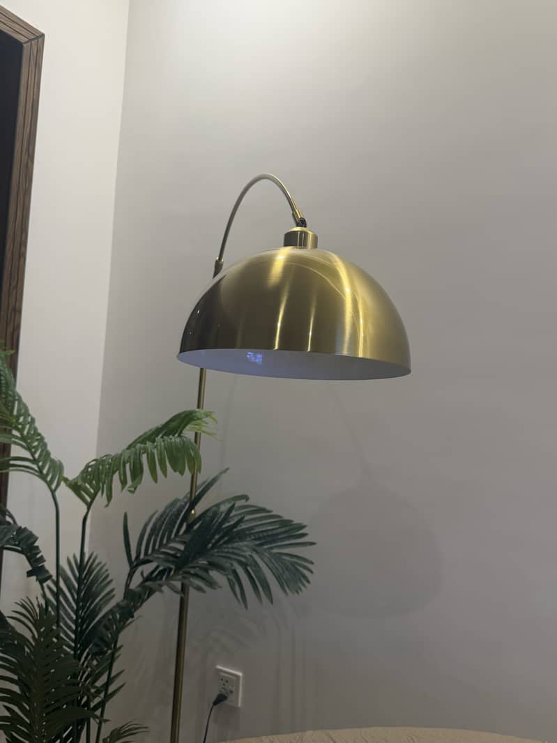 flooor lamp 2