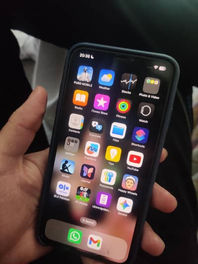 Xs max 256