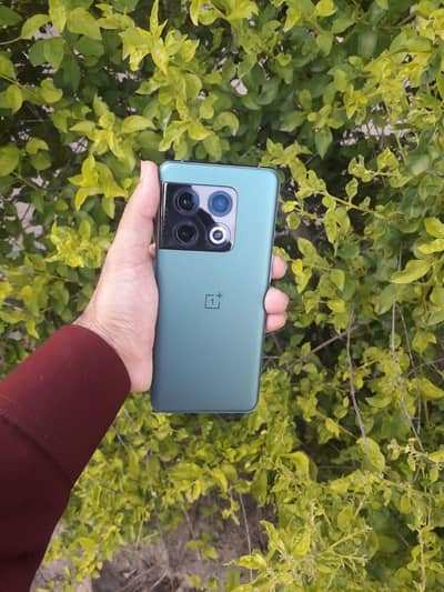 SPECIAL EID OFFER ONEplus 10 pro 5g  in 10/10 Lush