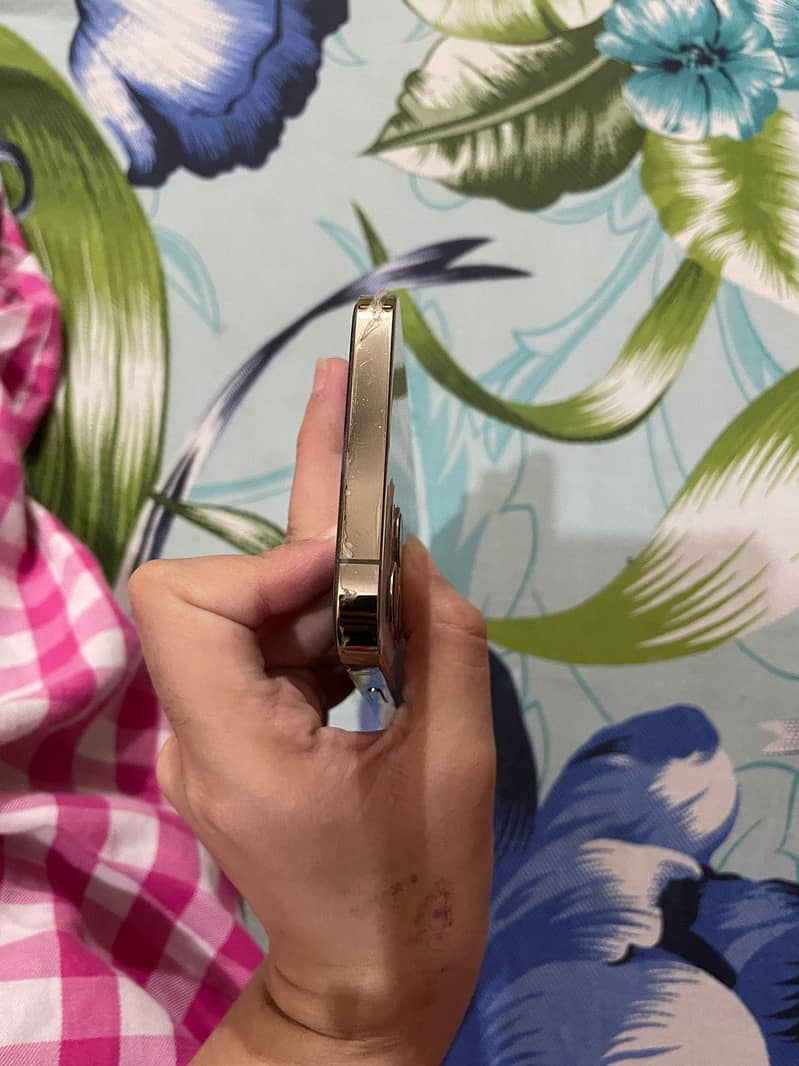 Iphone 12 pro 1