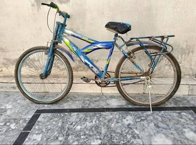 Budget-Friendly Heavy Duty Bicycle | Tires Need Replacement