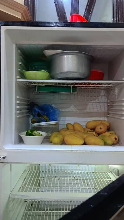 big size fridge