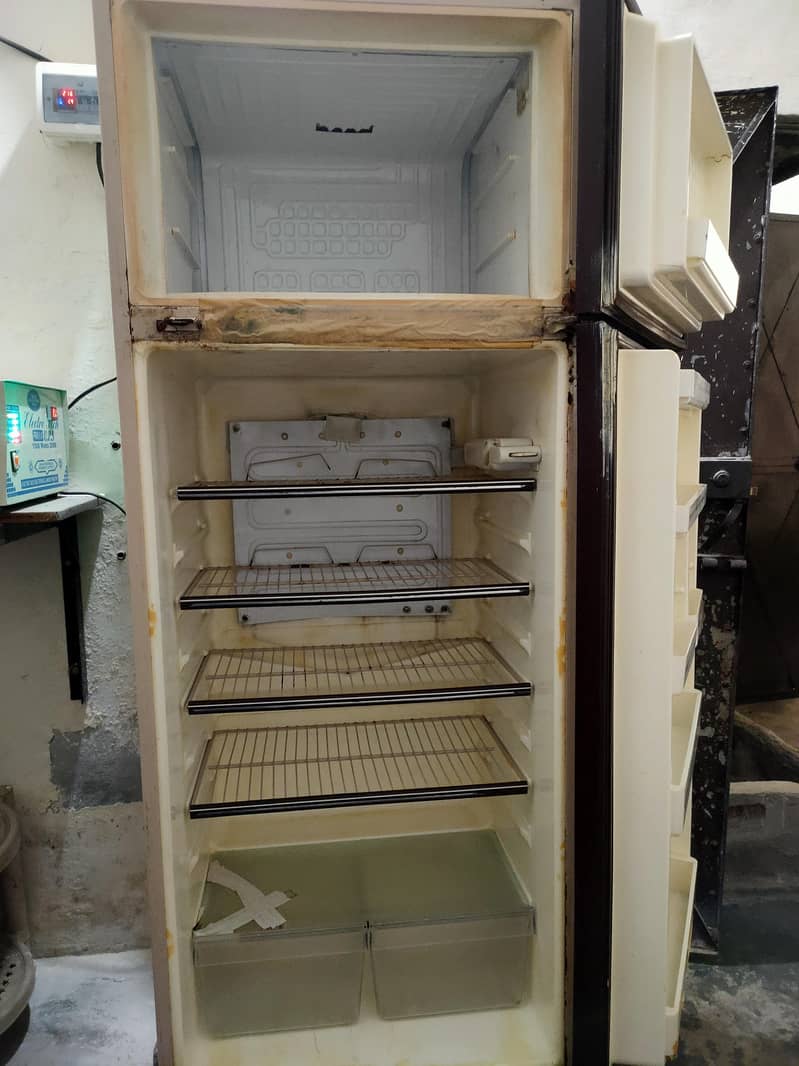 frige 1