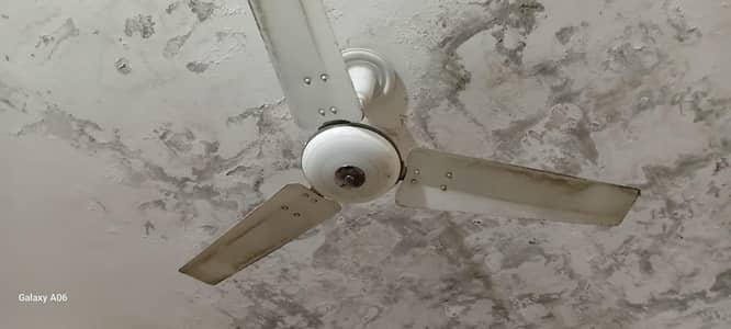 used royal fans