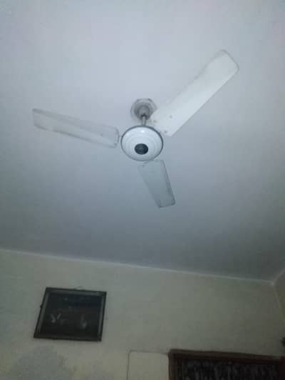 Ceiling Fan( younus) 48 inch