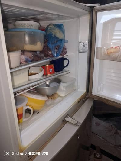 fridge
