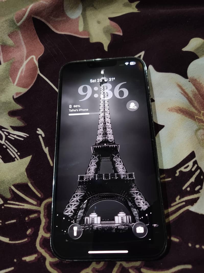 iphone 13pro max 1