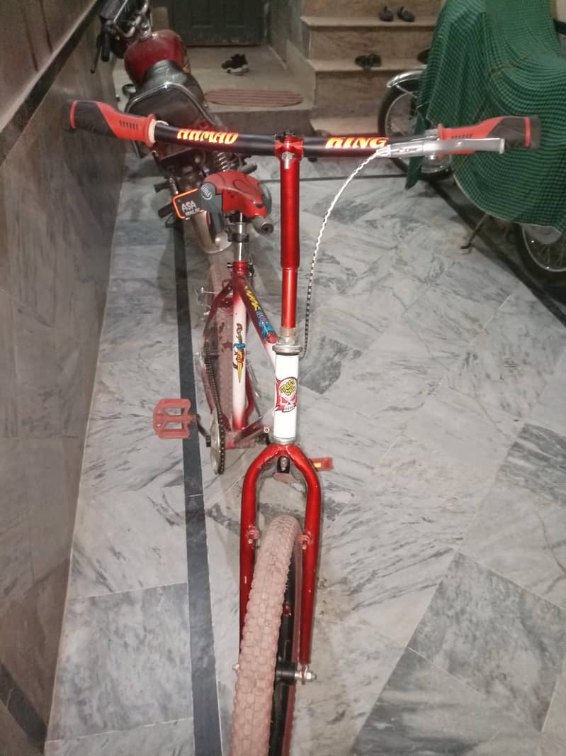 Cycle 1