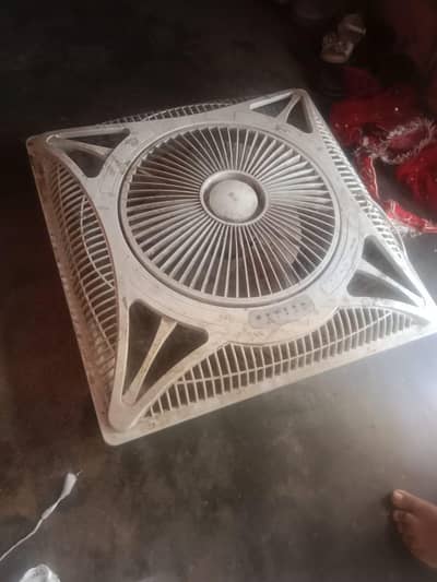 celling fan