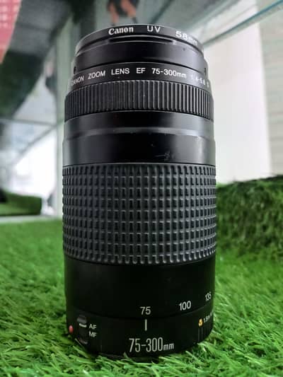 Canon 75mm zoom lense