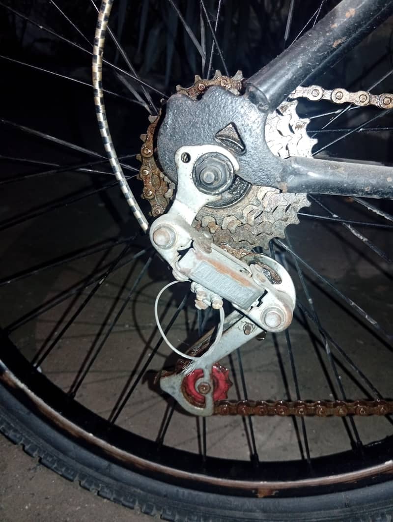 bicycle 2