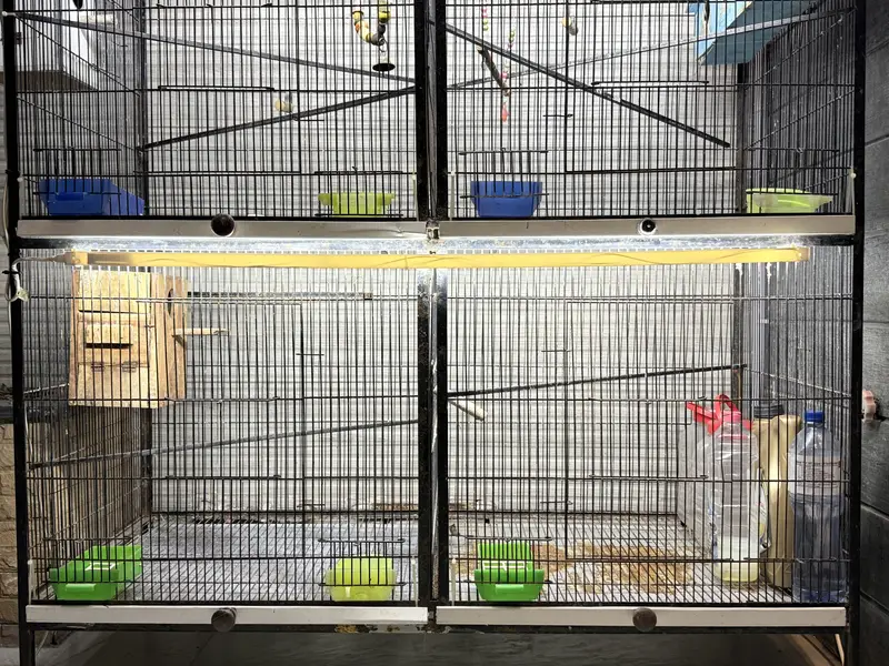 Heavy Duty Iron Bird Cage – 6 Compartments Convertible to 3 — photo 9
