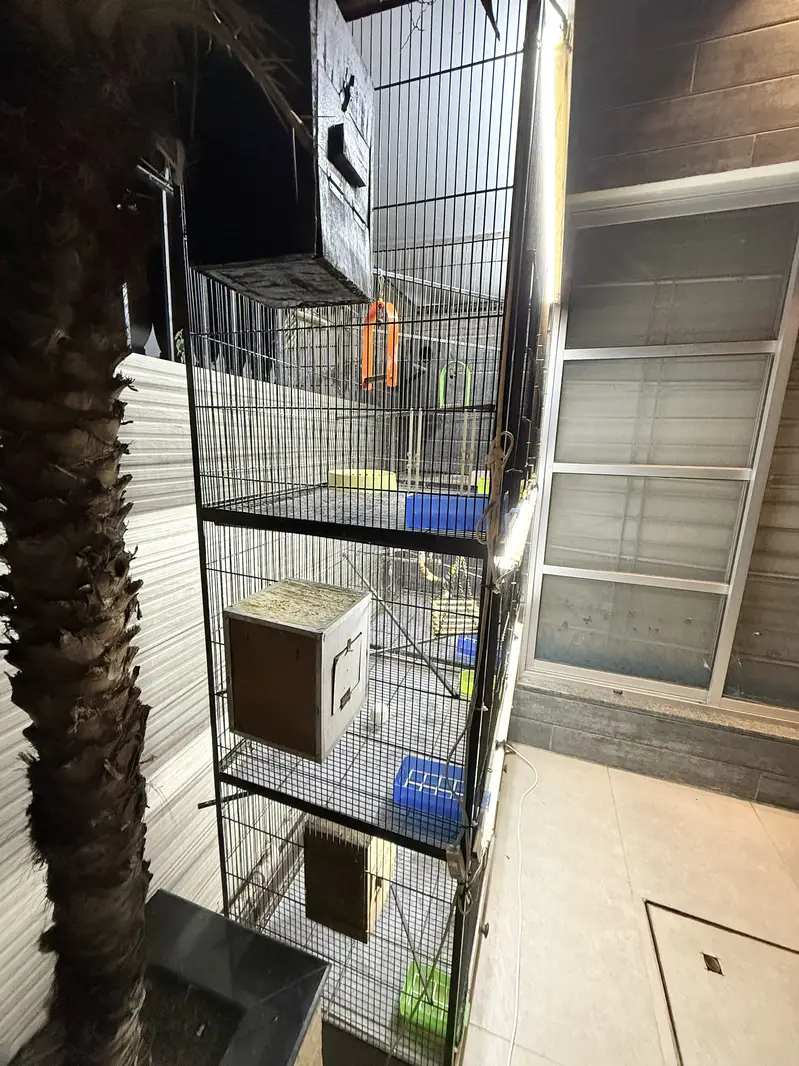 Heavy Duty Iron Bird Cage – 6 Compartments Convertible to 3 — photo 10