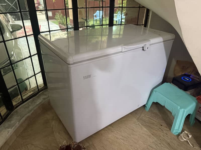 D Freezer 1