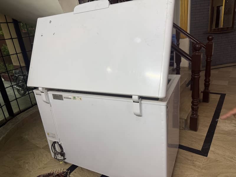 D Freezer 3