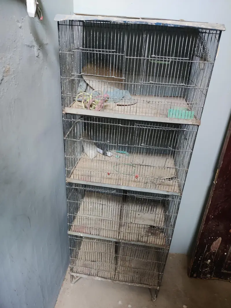 4 portion cage