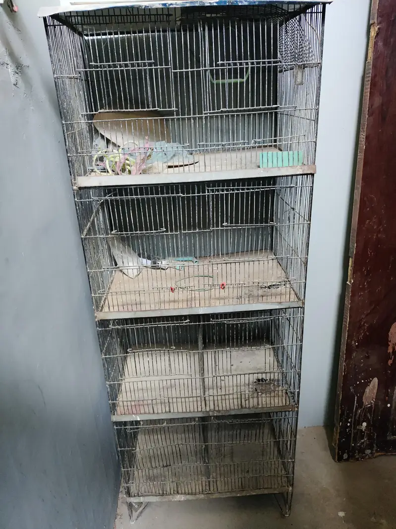 4 portion cage — photo 2