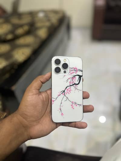 Iphone 13 pro pta approved